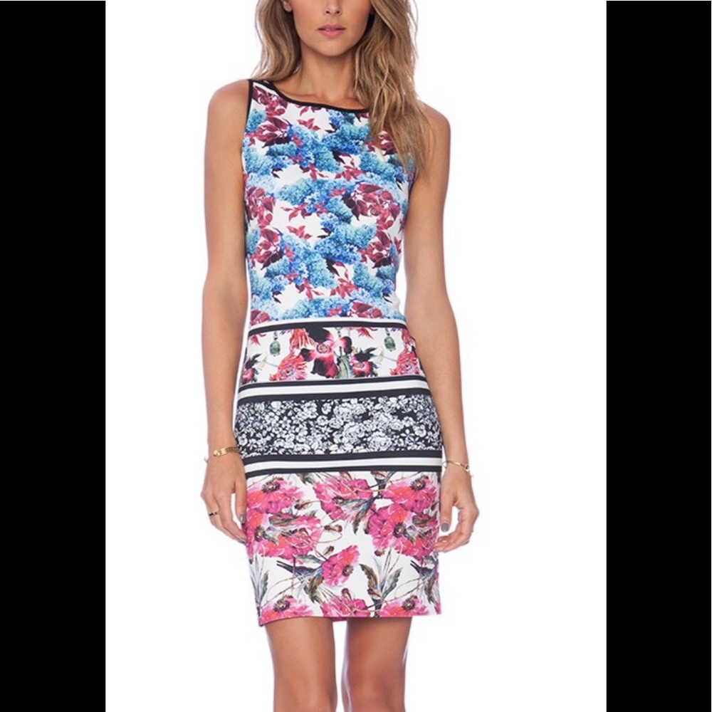 Clover Canyon 🌺 Floral Garden Scarf Scuba Dress - M (Copy)